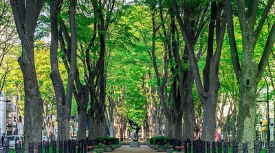 🏞️ 미타키도 교류 공원(미타키도 후레아이 코엔) 이미지 2